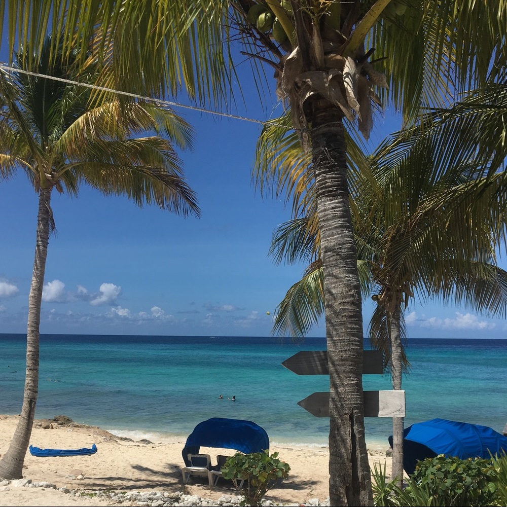 Meet your Posher, Gayle